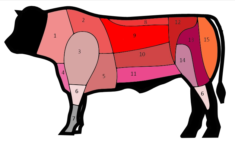 Diferentes cortes de carne